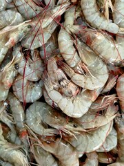 fresh shrimps at the market, fishmonger 