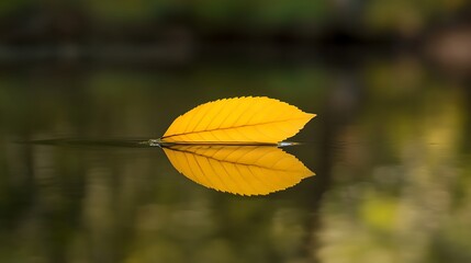Obraz premium Golden Leaf Reflection: A Serene Autumn Moment
