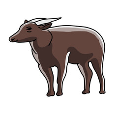 Anoa Indonesian Endemic Animal Vector Illustration for Wildlife and Conservation