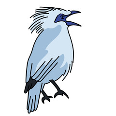 Bali Starling Indonesian Endemic Animal Vector Illustration for Wildlife and Conservation