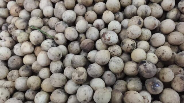 A group of duku or Lansium domesticum on display at a fruit shop