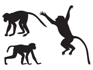 Proboscis Monkey Silhouette Illustration Set