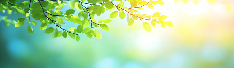 Spring leaves, sunlit nature, green background, website banner