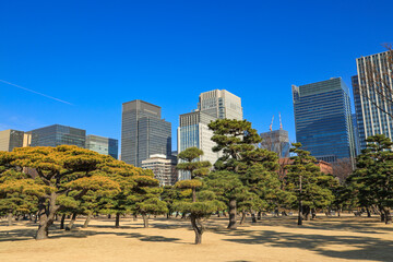 【東京都千代田区】皇居外苑の自然と都市風景