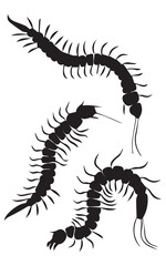 Centipede Silhouettes Illustration Set