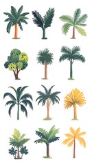 Obraz premium Tropical trees illustrations, design elements