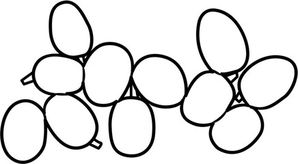 Farm fresh grapes coloring page