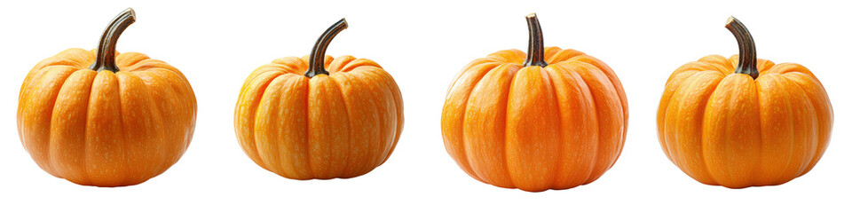 Obraz premium Four vibrant orange pumpkins with distinctive ribbed textures and sturdy stems, arranged in a row.
