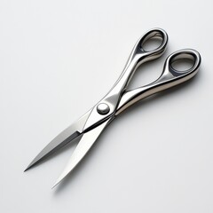 Obraz premium A pair of scissors with a silver handle and a black tip