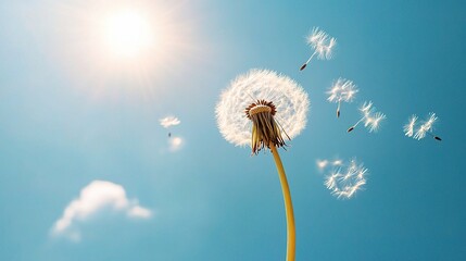 Fototapeta premium Dandelion Seeds in the Sky: Capturing the delicate beauty of nature, a close-up shot reveals a dandelion releasing its seeds against a vivid blue sky, symbolizing freedom and new beginnings. 