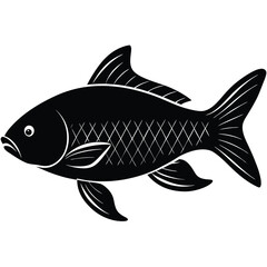 fish on a white background