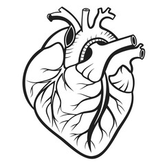 Realistic Heart icon Black Silhouette vector illustration isolated on transparent background, Vector medical heart logo. Line art of people heart.