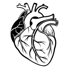 Realistic Heart icon Black Silhouette vector illustration isolated on transparent background, Vector medical heart logo. Line art of people heart.