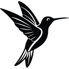 hummingbird vector illustration