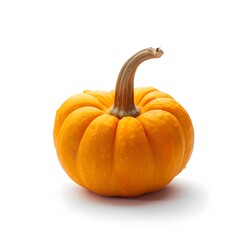 Obraz premium Bright Orange Pumpkin with a Curved Stem and a Smooth Surface