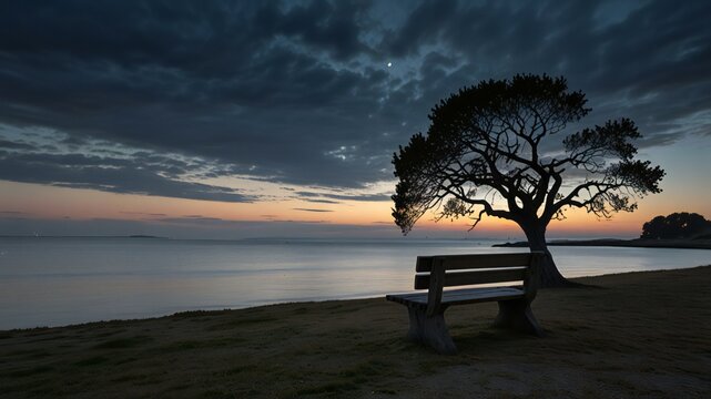 sunset on the beach with a tree and sitting banch