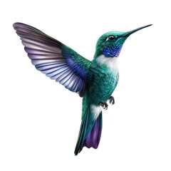 Obraz premium A vibrant hummingbird with iridescent feathers, showcasing its striking colors and delicate wings in motion.