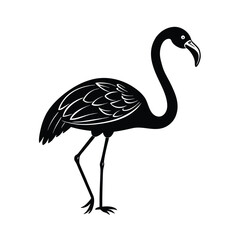 vector illustration of flamingo