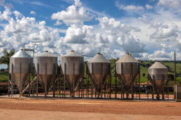 Metal silos for storage of grain to be used for the manufacture of feed to feed the animals on a farm for cutting grain in Brazil. Bovine breeding © AlfRibeiro