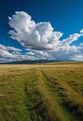 Obraz premium Far away in the meadow is a lonely blue sky