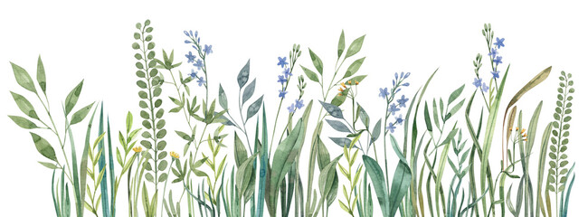 Fresh Green Meadow with Floral Touches - Watercolor Illustration. Horizontal illustration, wild grass, nature, background