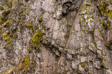 Moss and Rocks on a Cliff Face in BC, Canada