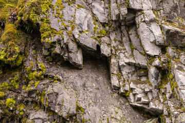 Detailed Moss-Covered Rocky Surface in BC, Canada