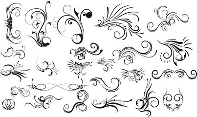 Calligraphic swirl flourish. Modern swirling flourishes, wreath, romantic card decorative swirl and wedding card decor curls swirles dividers set. Black curly thin lines, filigree ornaments baroque