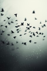 Flock birds flying formation symbolizing and freedom.