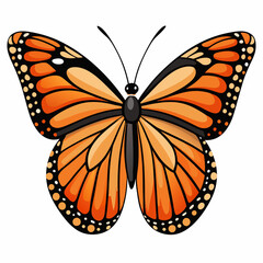 butterfly vector illustration