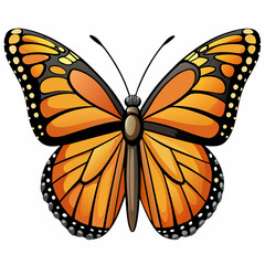butterfly vector illustration