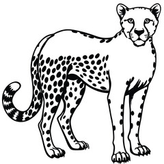 Adobe Illustrator ArtwLeopard head logotype or mascot hand drawn ink sketch. Engraving style vector illustration.ork