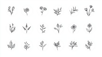 Fototapeta premium Adorable Vector - Illustrated Flower Icons: A Modern, Simple Collection Isolated on White
