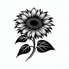 Black and White Stylized Sunflower
