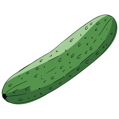 Fresh Cucumber Icon Flat Style Vegetable Illustration