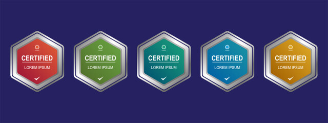 Certificate badge hexagon template vector illustration
