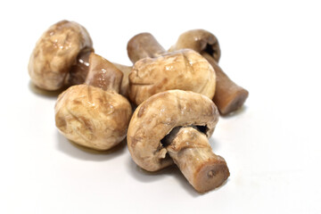 Marinated champignon mushrooms ready to eat lie on a white background