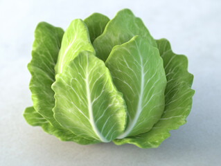 Obraz premium green leaf lettuce