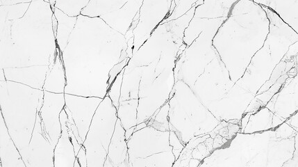 Obraz premium Bianco Lasa marble, pure white background with subtle gray veins, refined and luxurious natural stone