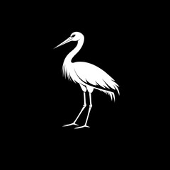 Obraz premium A majestic white stork stands gracefully on a black background in a minimalist illustration style perfect for or print design.