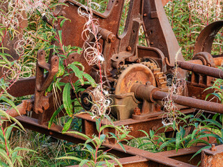 The Far North: the remains of an ancient rusted agricultural machinery in the grass.