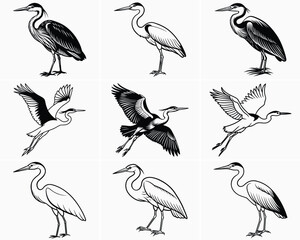 Naklejka premium Elegant Heron Bird Illustrations – Wildlife Ink Drawing Set,heron silhouette Set