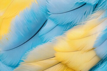 Vibrant, overlapping light blue and yellow feathers, close-up.  Delicate texture and color gradation