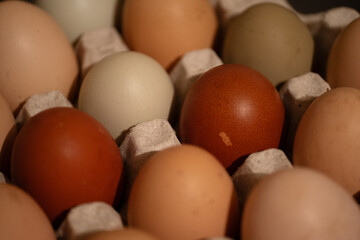 Close-up view of a carton filled with eggs in various natural shades, including brown, white, and green. The diverse hues highlight the beauty of farm-fresh, organic eggs. 