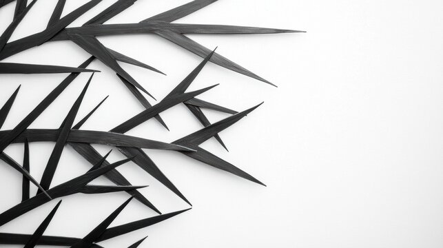 Abstract Black and White Design