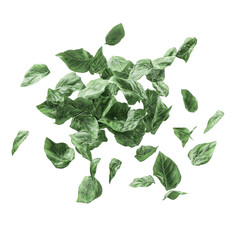 Green leaves falling black background nature foliage plant isolated on transparent background