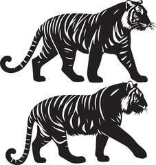 silhouette set of Sumatran Tiger walking poses, sumatran tiger walking pose vector, black and white tiger illustration