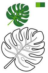 Coloring page whit tropical leaf for coloring book about exotic plants. Contour, colorful sample, color palette. For preschool and early elementary school children, to kid enjoy jungle vibes