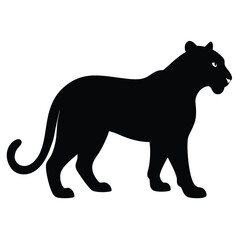 black, panther, standing, white, background, long, tail, animal, looking, camera, vector, symbol, wild, illustration, cat, leopard, mammal, silhouette, wildlife, puma, design, predator, icon, jaguar, 