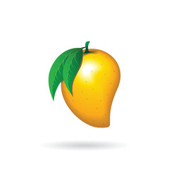 Mango fruit on white background, seamless pattern backdrop